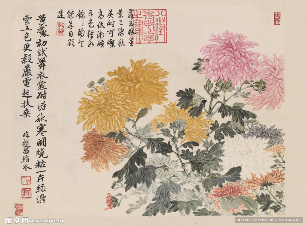 秋韵绽放，国画菊花作品的艺术魅力