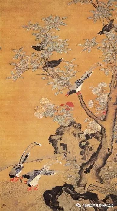 探秘中国古代著名花鸟画，笔墨间的自然韵律