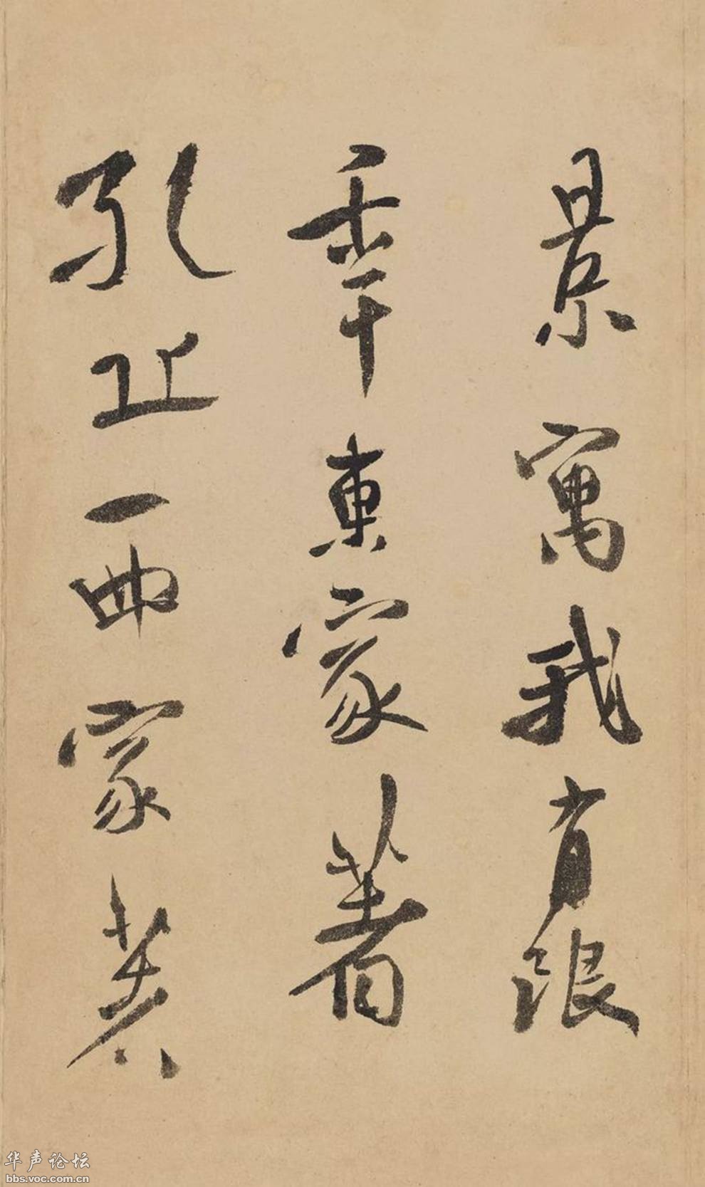 徐渭书法精选，笔墨间的狂放与深情