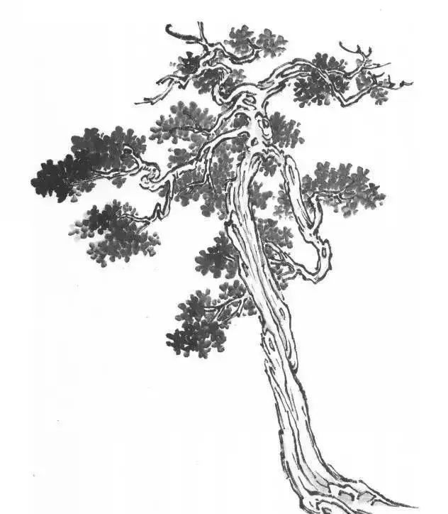 基础到进阶指南