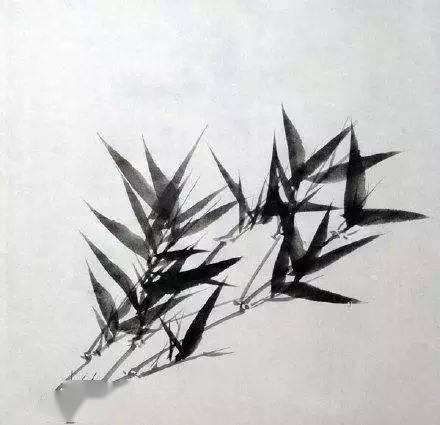 画竹子的艺术，掌握技巧，绘就自然之韵