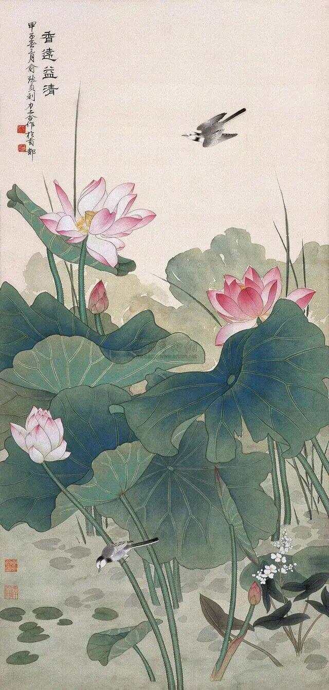 工笔荷花，一抹淡雅，绘就水墨丹青的绝美画卷