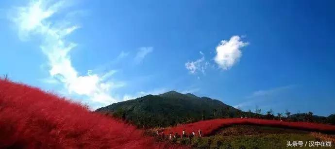 山水之美，尽在画中游——好看的山水画图片大全实景