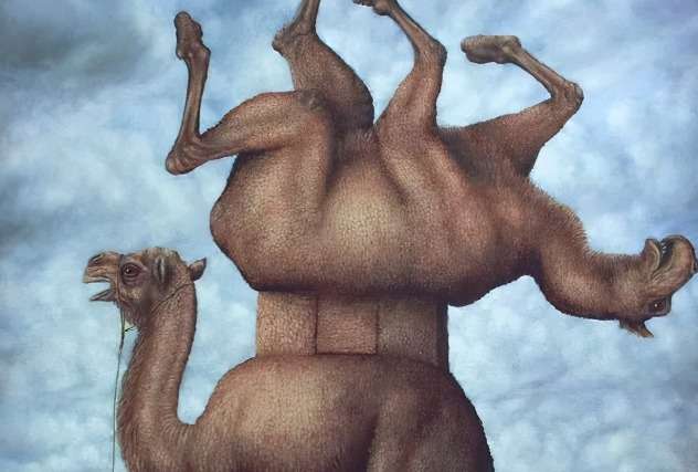 世界上最恶心的画，挑战心理极限的艺术探索