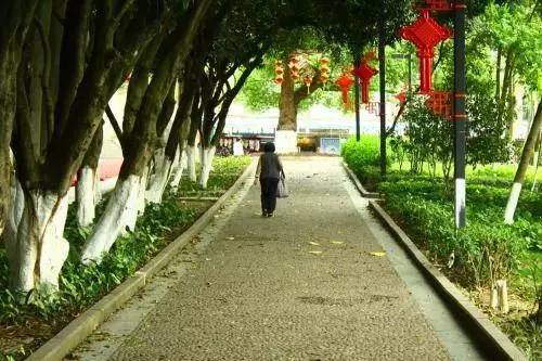 当代画马艺术的巅峰——记当代画马第一人的非凡之旅