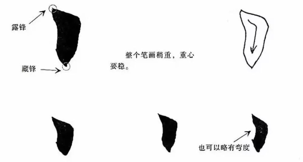 学书法第一步，从基本笔画开始