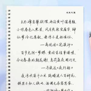 挽鸢体，一种独特的书法艺术