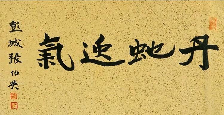 探索中国书法艺术，张伯英与他的书法世界