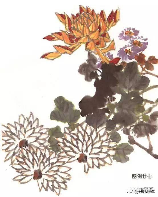 探索国画菊花之韵，技法与步骤详解