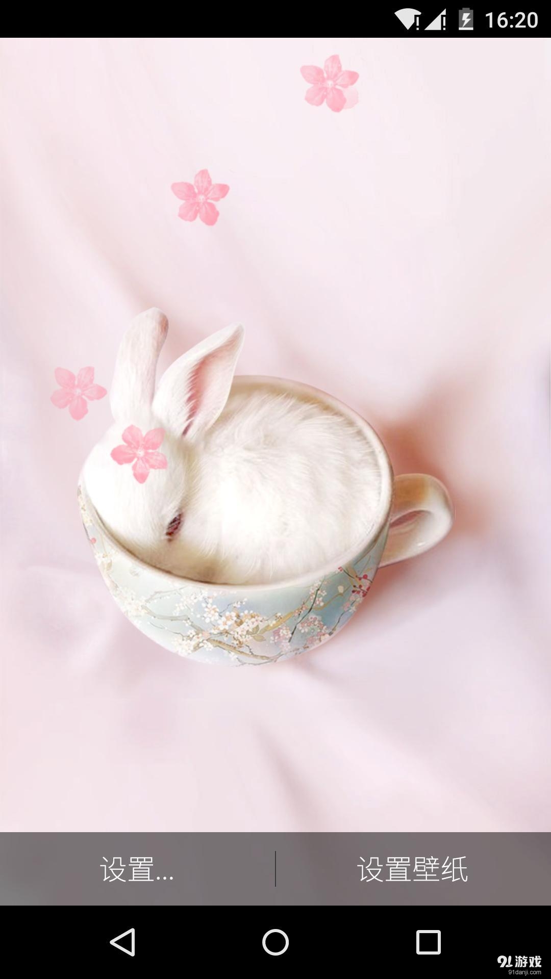 画可爱的茶杯兔，萌态尽显的创意艺术