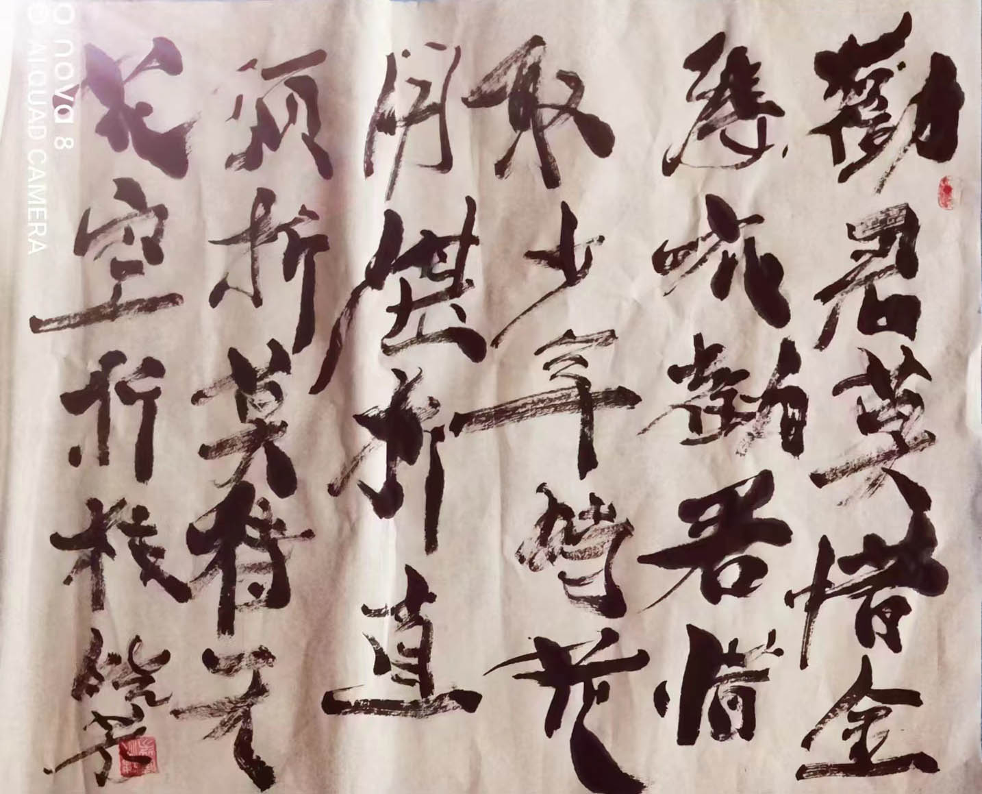 探索转书法字体的艺术魅力，从传统到现代的跨越