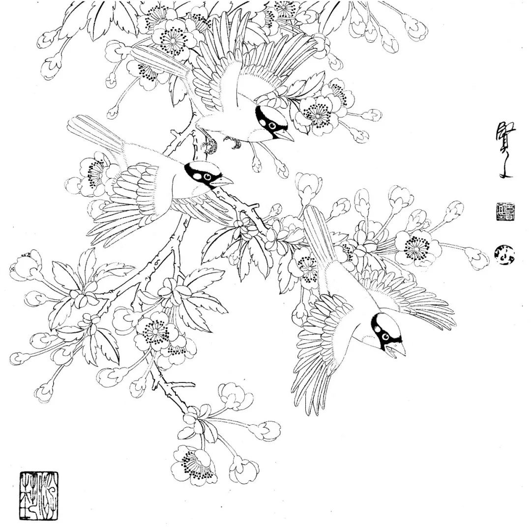 探寻工笔花鸟画中的白描底稿，传统与创新的交融