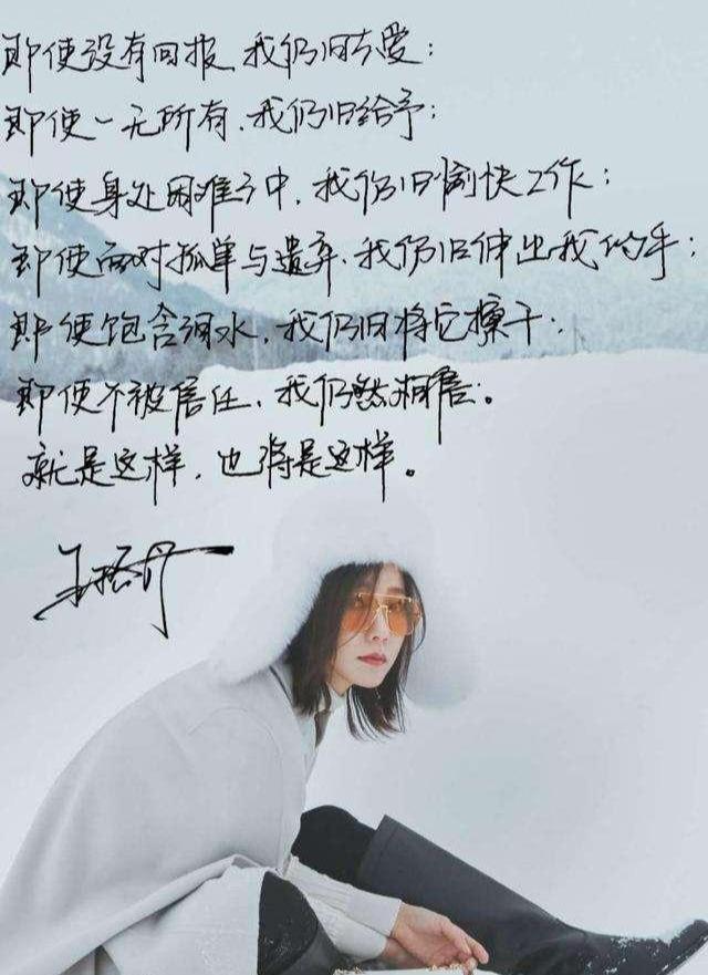 钢笔字体大全，书写艺术的视觉盛宴