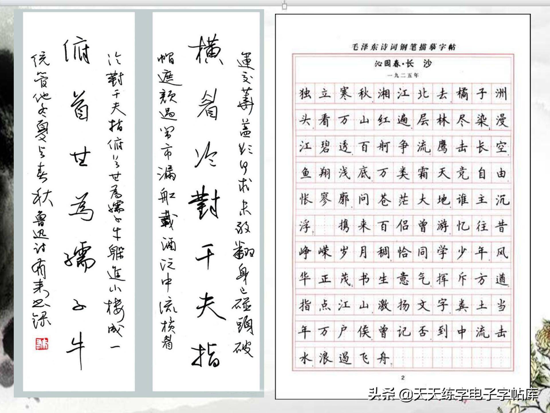 探索书法之美，学硬笔书法视频教程的魅力与价值