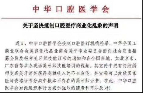 探索中国美协的领导力量，中国美协会副会长的影响与贡献