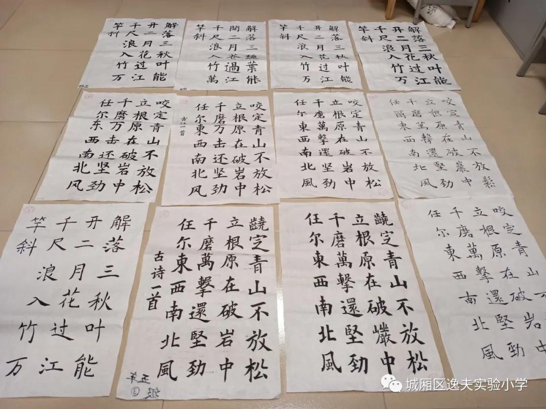 硬笔作品欣赏，笔尖下的艺术魅力