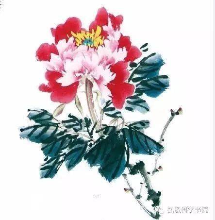 牡丹绘梦，学画牡丹入门视频指南