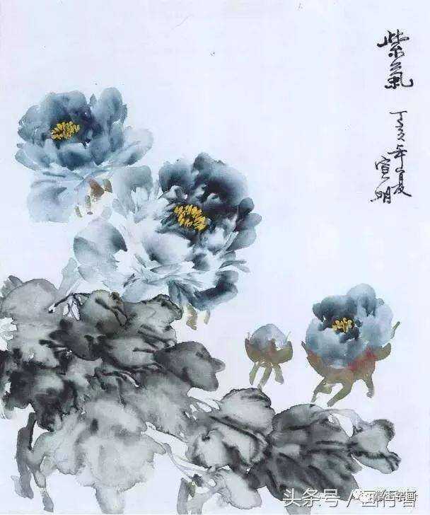 牡丹国画之美，名家视频画法解析与鉴赏