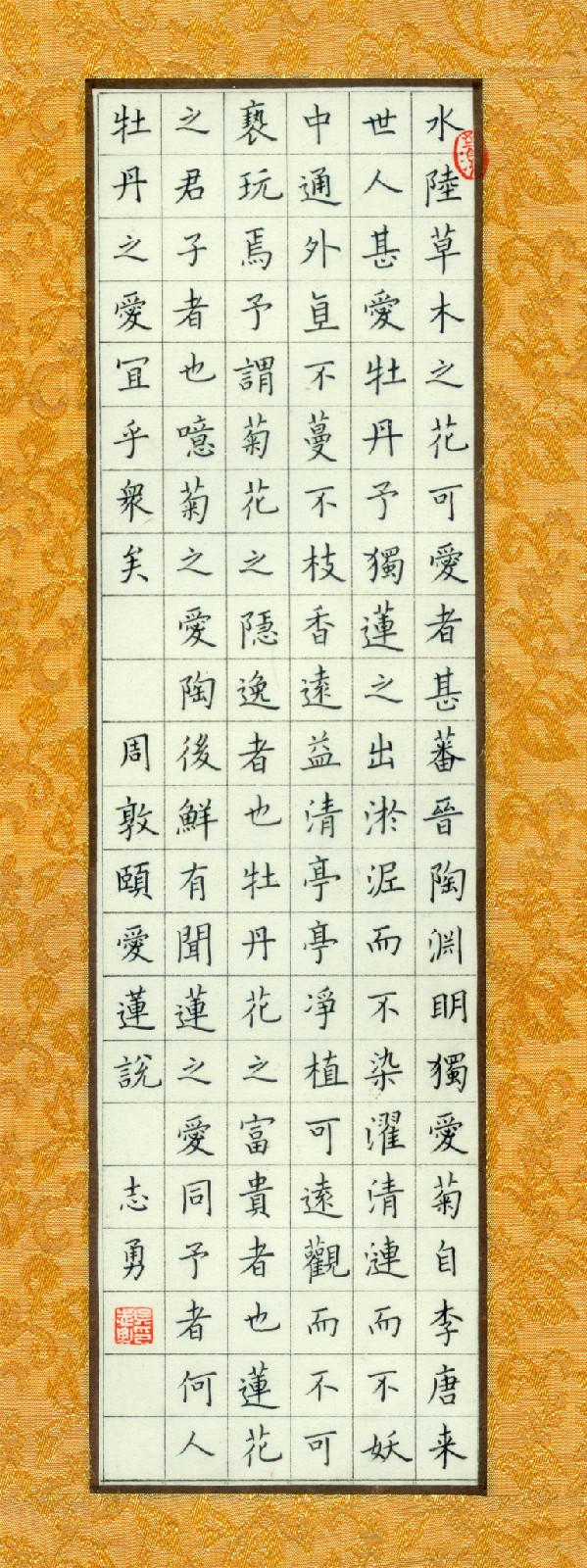 硬笔书法字帖，行楷之美，笔下生辉