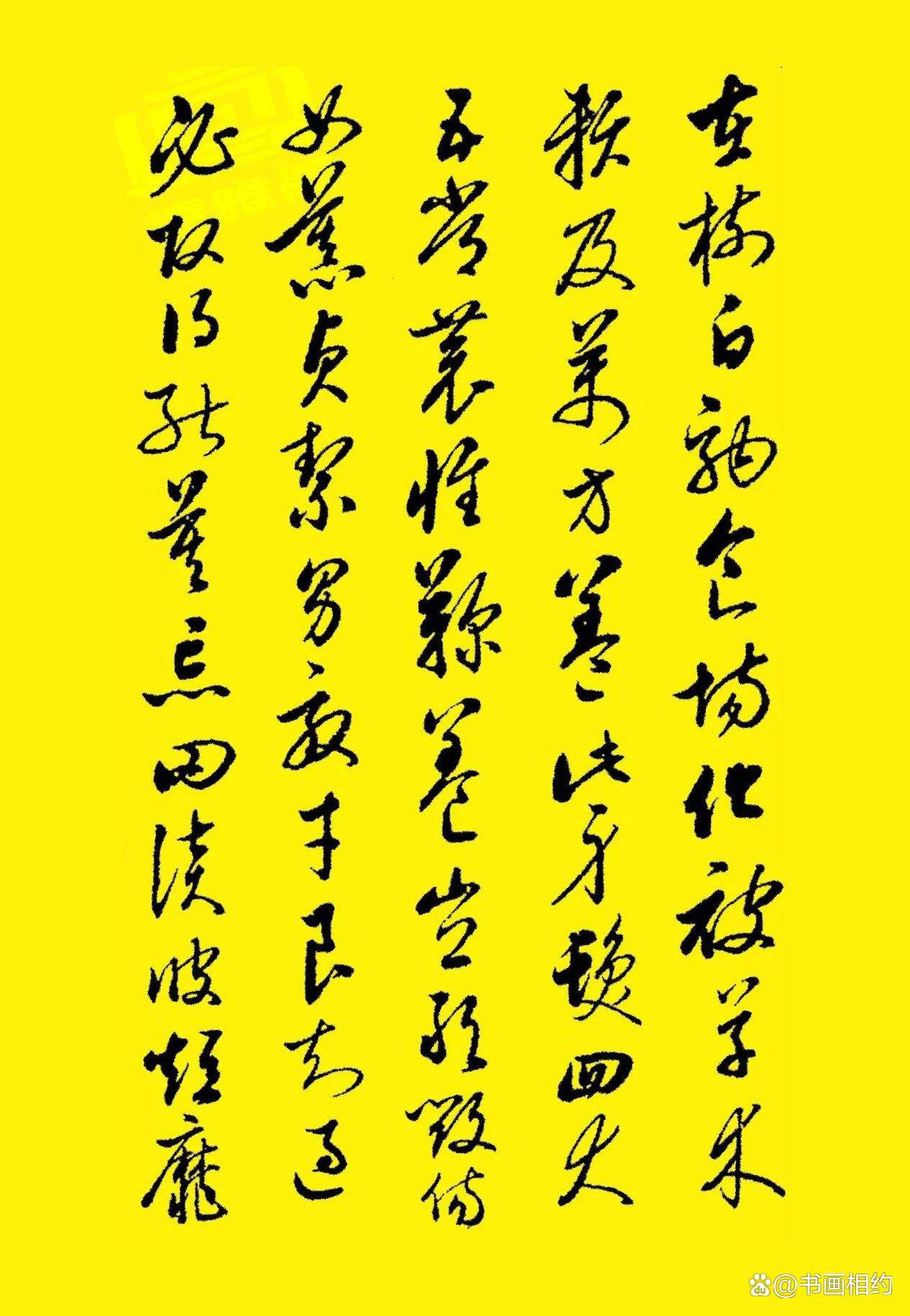 探索书法之美，行草字帖图片大全的魅力与价值