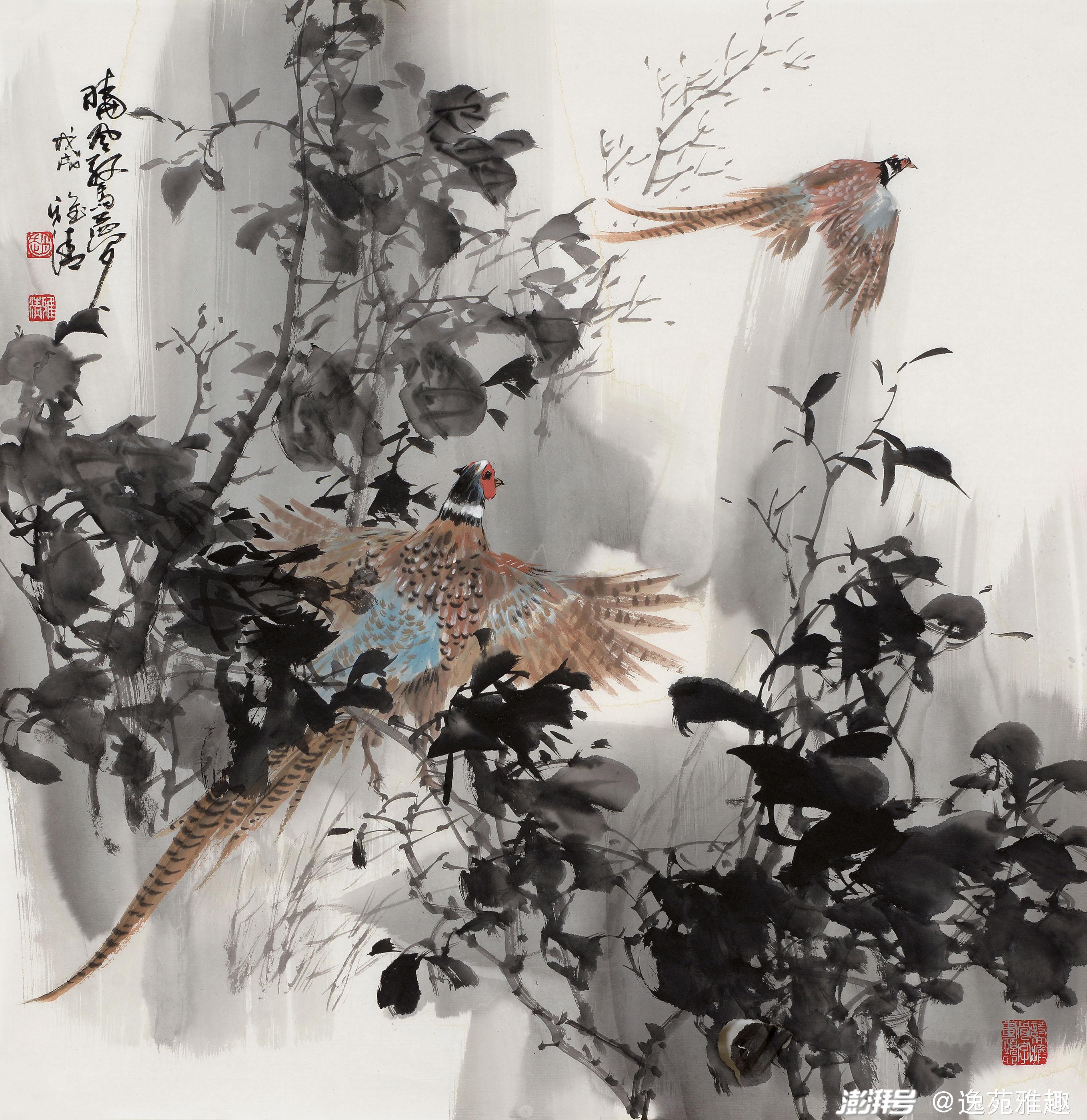写意花鸟画，笔墨间的自然韵律 —— 作品精选赏析