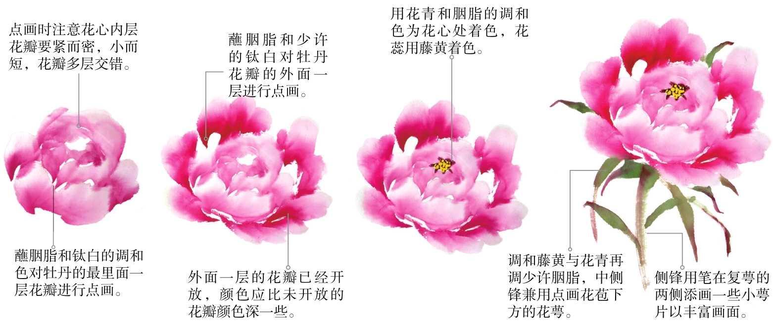 画牡丹，六大口诀解锁国画精髓