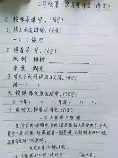 钢笔字帖欣赏，一笔一划间尽显艺术魅力