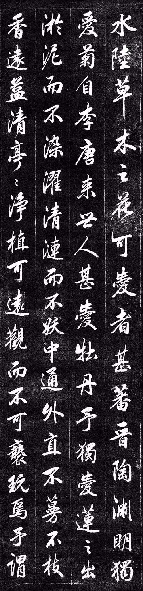 meitesi 第56页