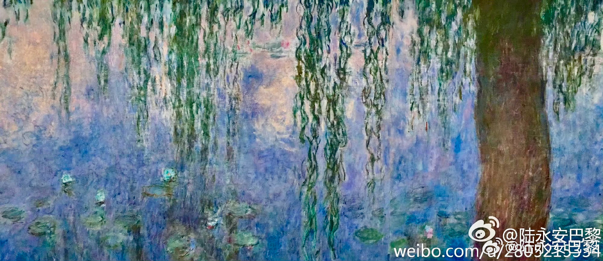 韦特伊的梦幻蓝，莫奈花园的永恒之境