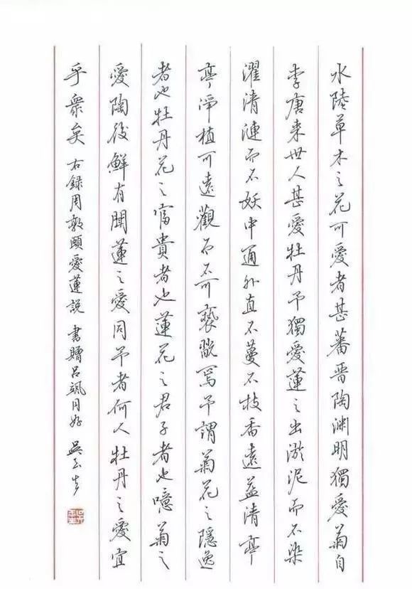 探秘书法之美，最漂亮的硬笔行书书法作品赏析
