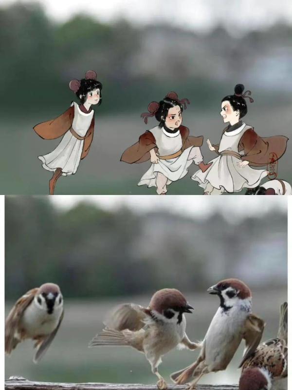 零基础自学
