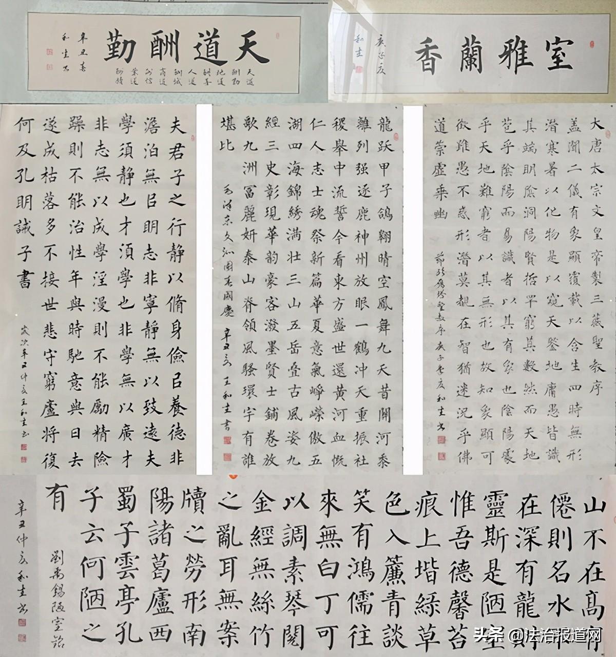 书法家的故事动画，笔墨间的历史与艺术