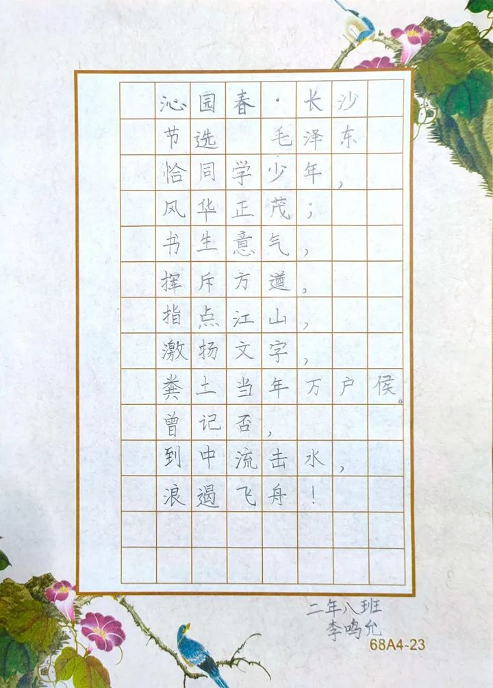 硬笔书法，小学生笔下的艺术之旅