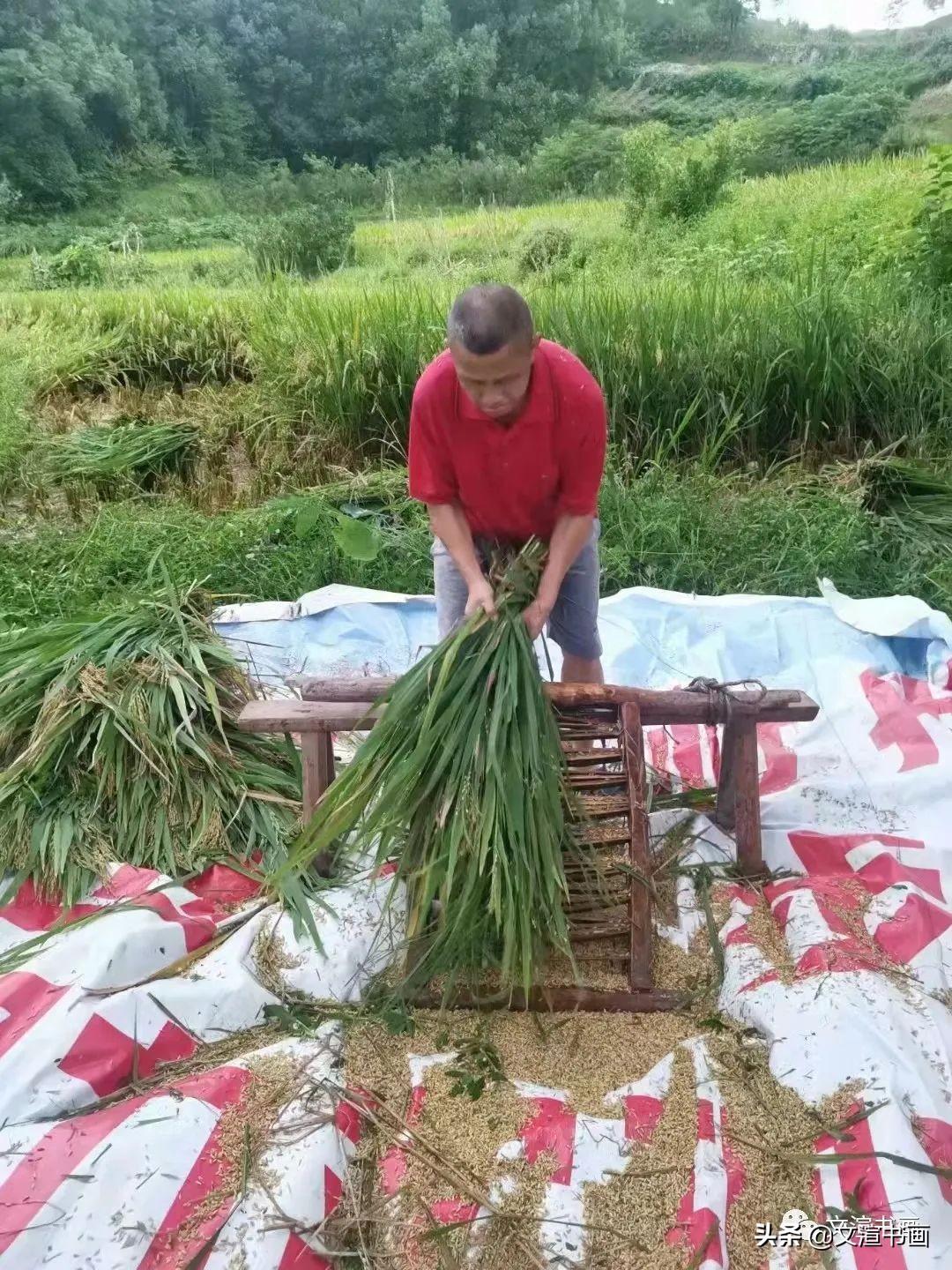品味墨韵，赏鉴王羲之书法之美——一场穿越千年的艺术盛宴