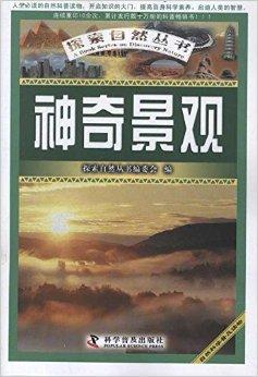 探索油画技法的奇妙之旅，从视频中汲取灵感与力量