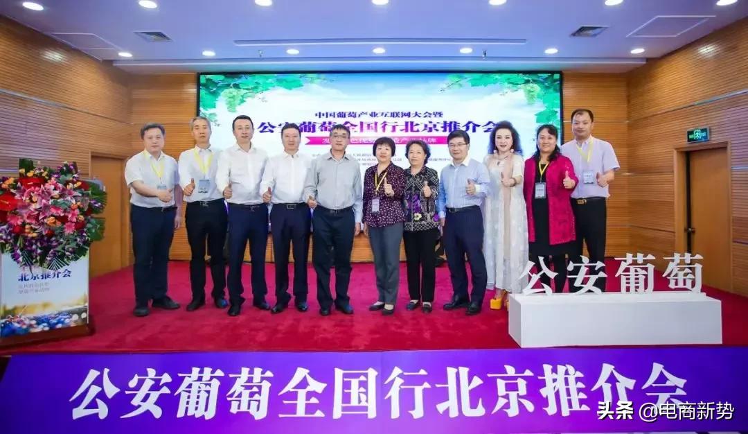探索未来，设计网——重塑数字世界的创意蓝图