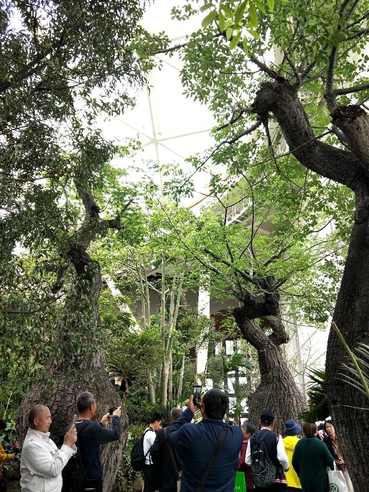 探秘北京美协会员风采，揭秘北京美协会员名单查询的背后故事