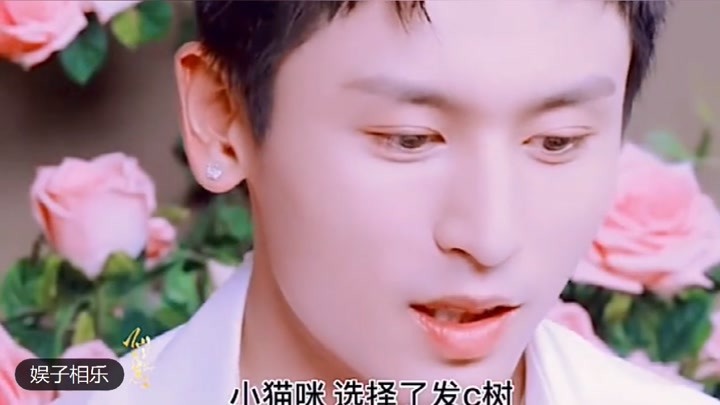 澳门六爷资料视频，解锁免费中文版，探索澳门文化新视角